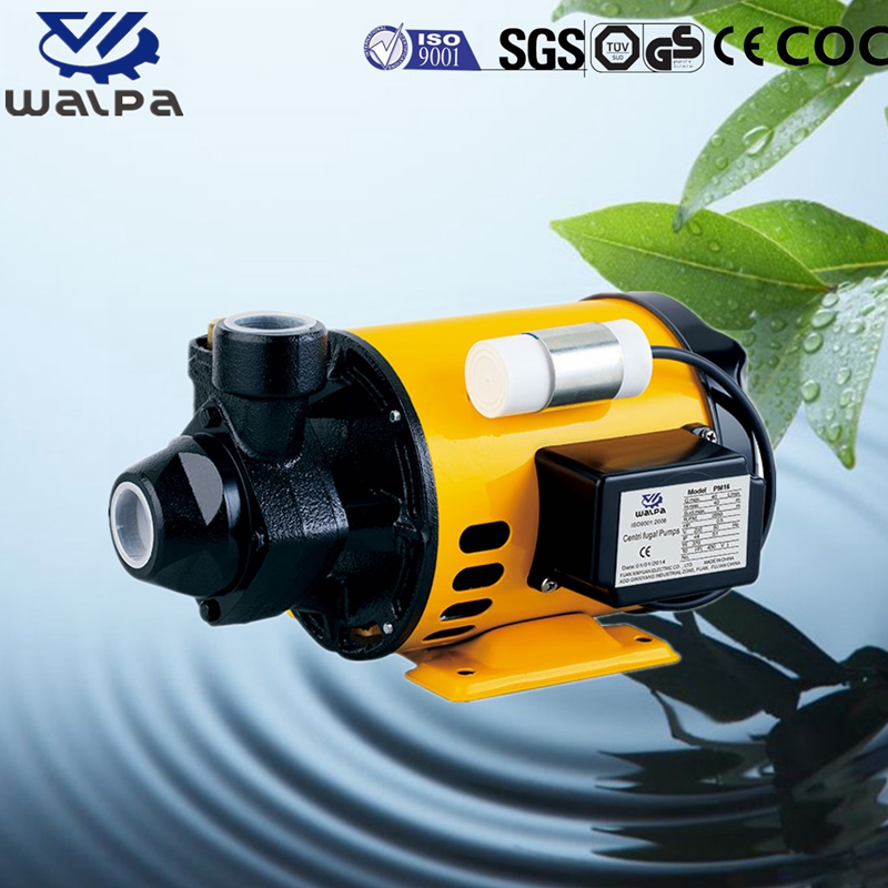 WALPA Peripheral Pump
