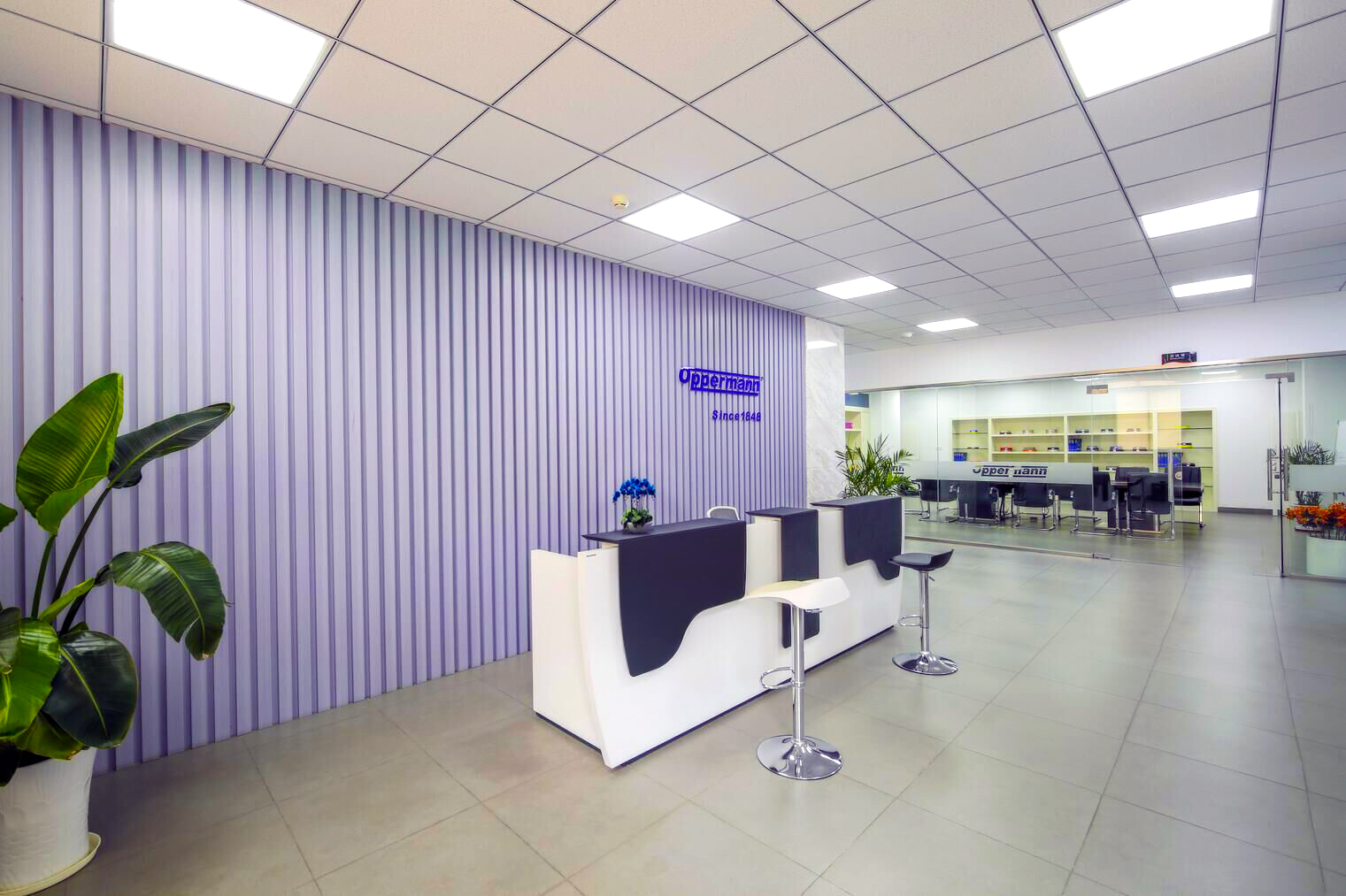 Aopaman Ribbon (Shanghai) Co., Ltd. – Photos produits 2