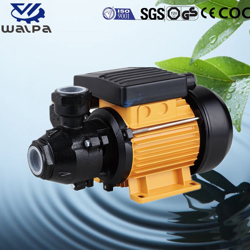WALPA Peripheral Pump