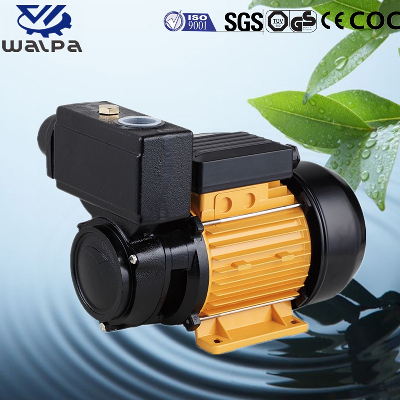 WALPA Peripheral Pump