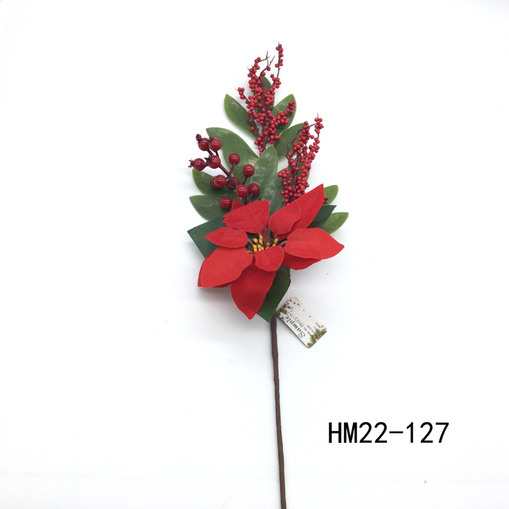 Christmas flowers