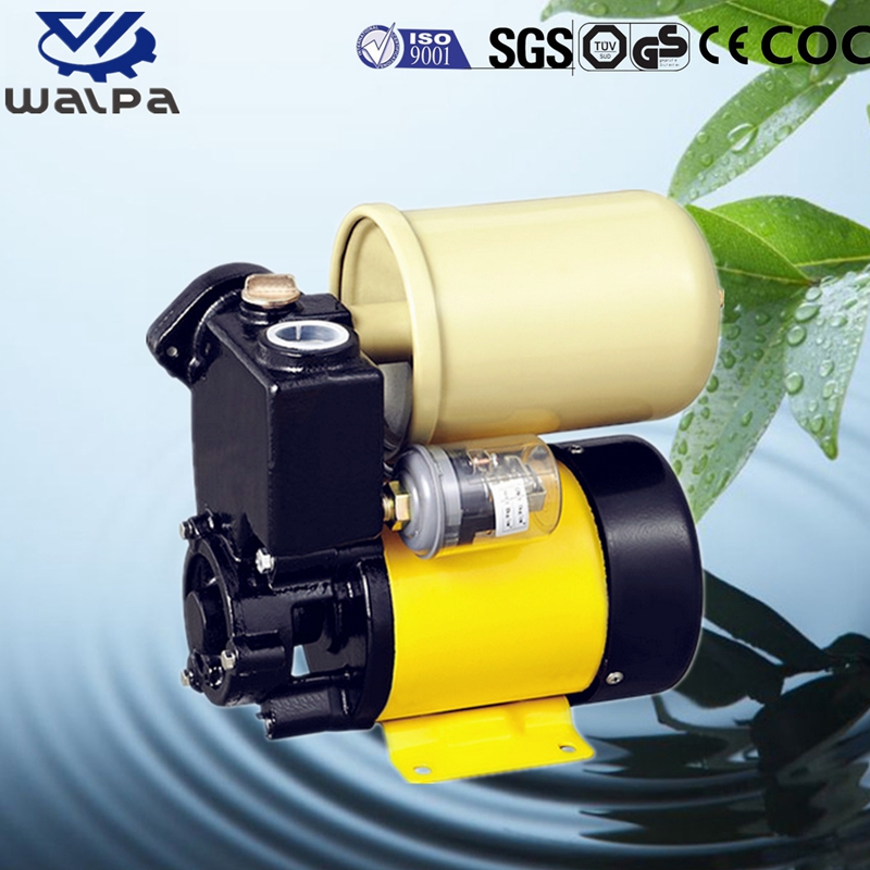 WALPA Peripheral Pump