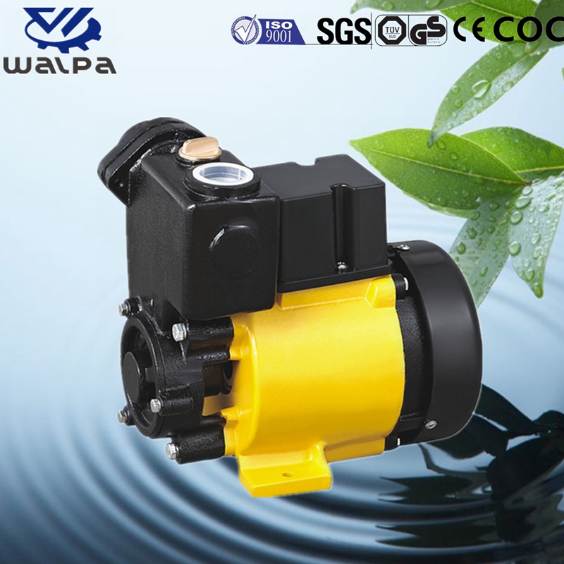 WALPA Peripheral Pump