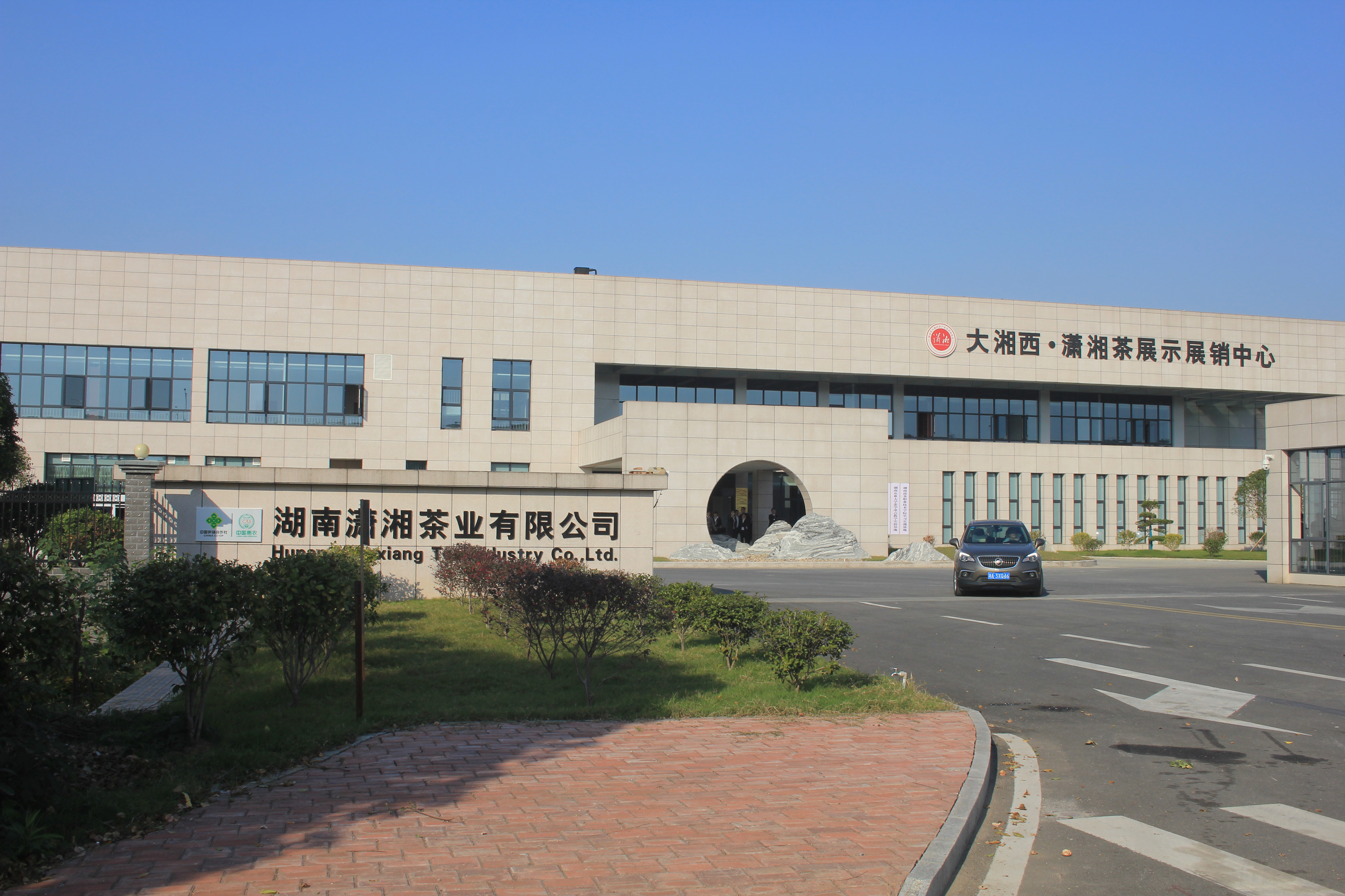 Hunan Xiaoxiang Tea Co., Ltd. – health tea 2