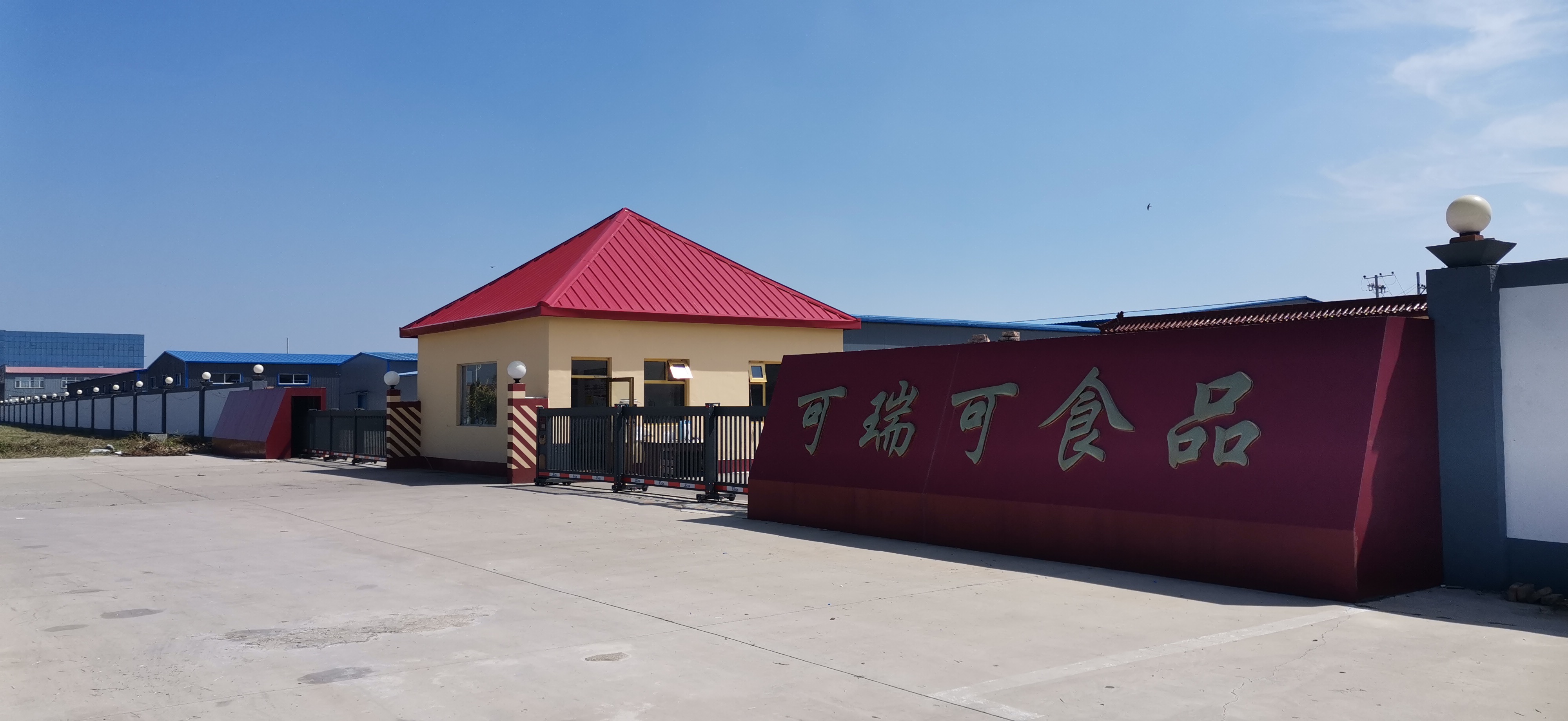 Hebei Kerui Ke Food Co., Ltd. – cashews 1