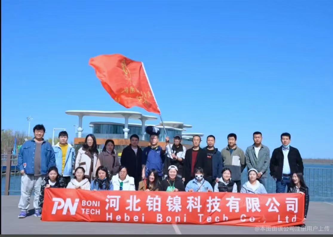 Hebei Platinum Nickel Technology Co., Ltd. – Stainless steel castings 1