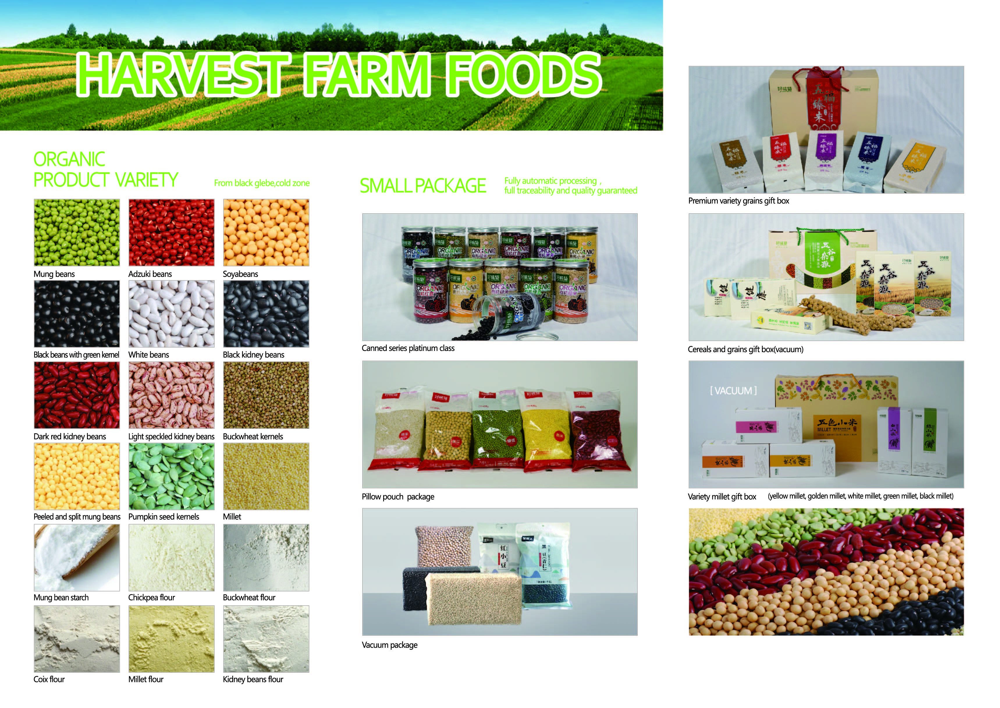 Haoweit (Dalian) Food Co., Ltd. – Mung beans 1