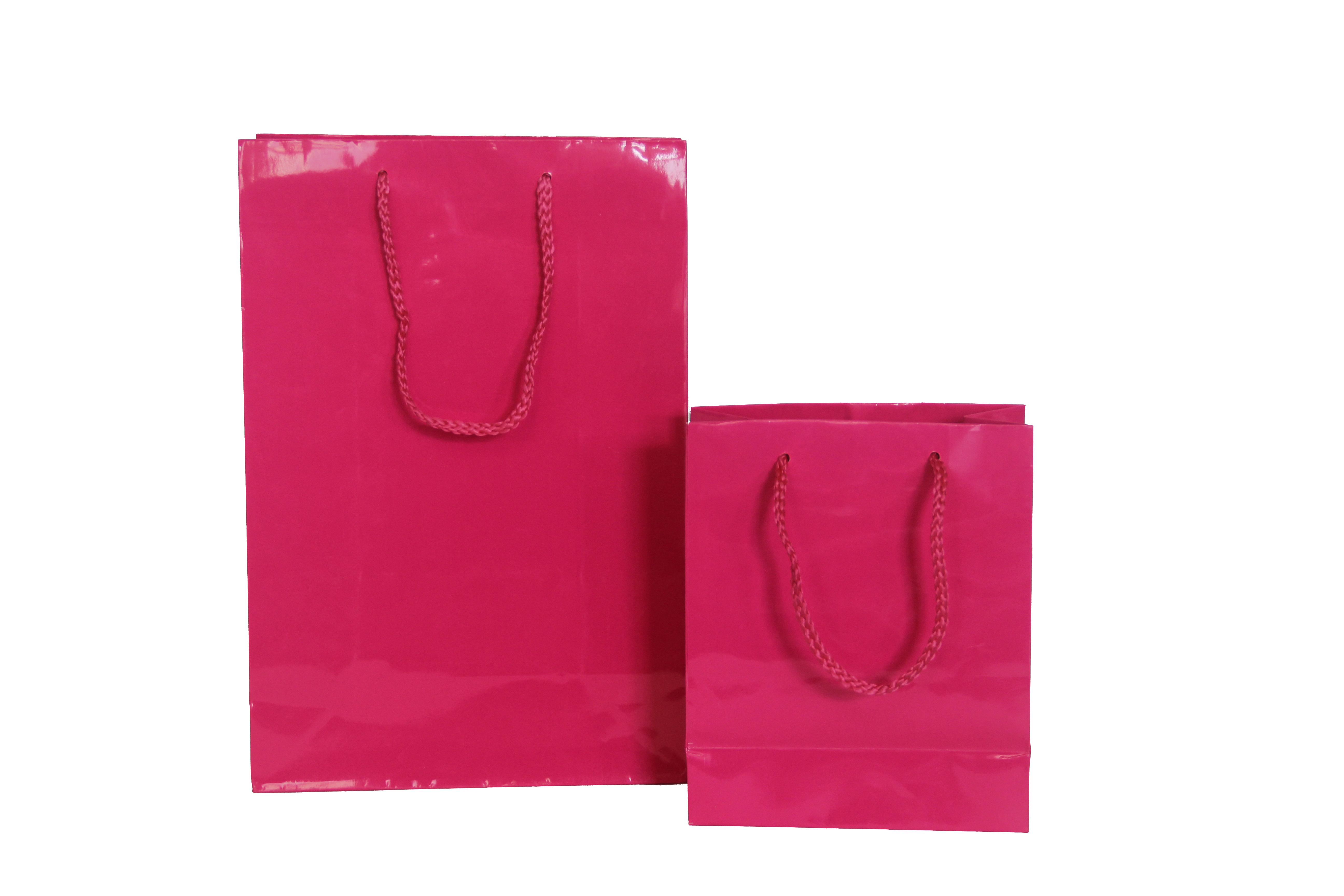 Laminated shopping paper bag