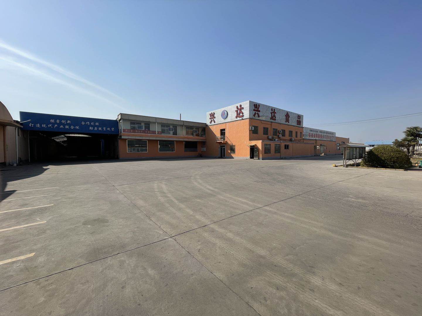 Anhui Dangshan Xingda Canning Food Co., Ltd. – Photos produits 2