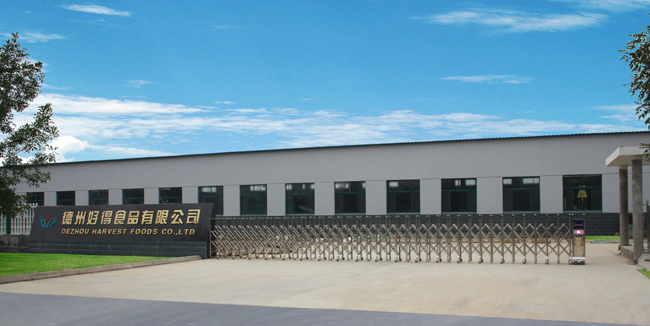 Dezhou Haode Food Co., Ltd. – Cookies 1