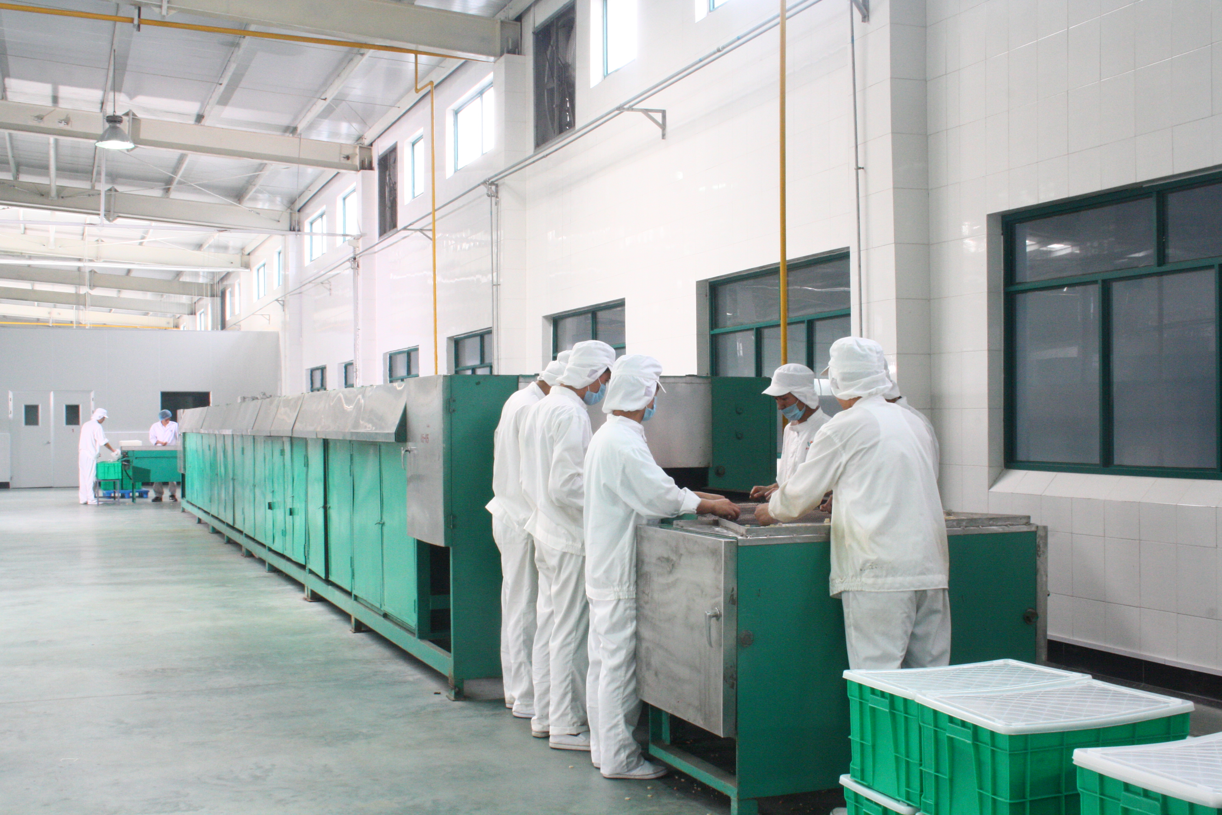 Dezhou Haode Food Co., Ltd. – Photos produits 3