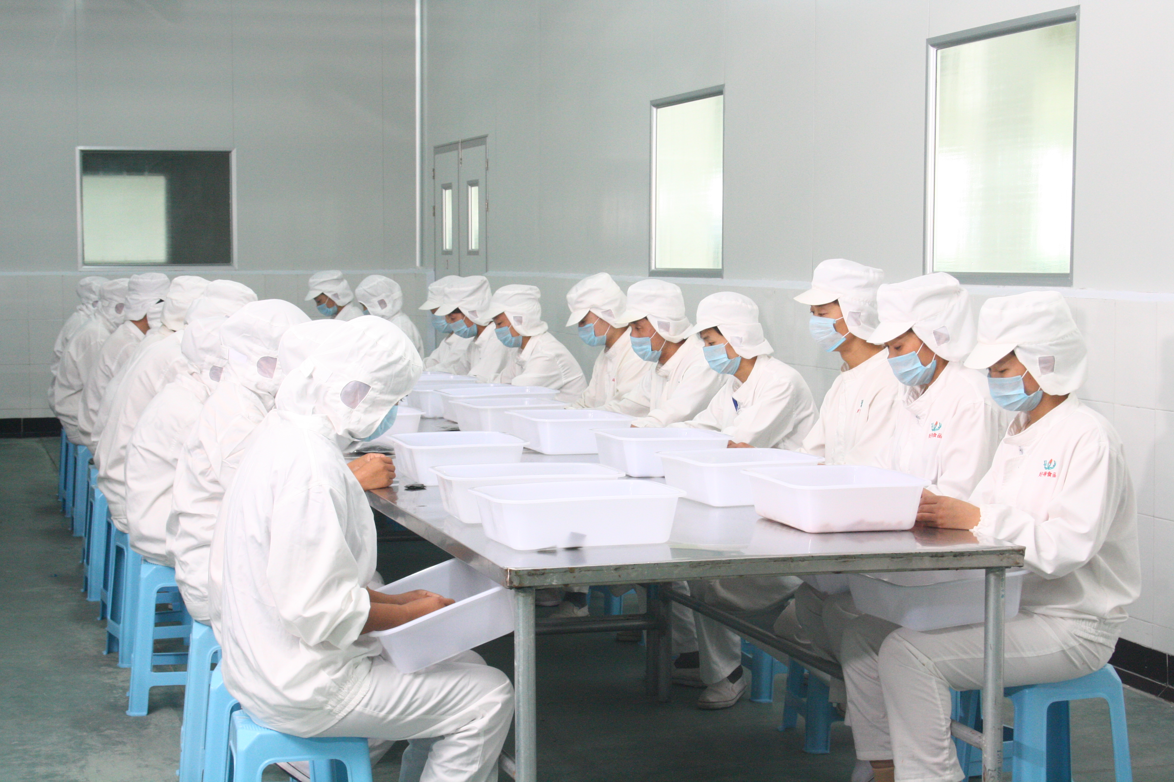 Dezhou Haode Food Co., Ltd. – other baked goods 2