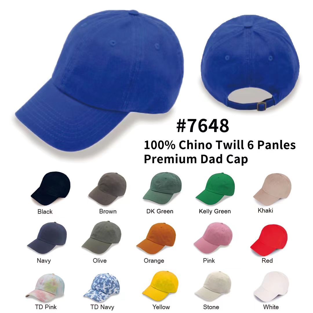 DC Dad hat washed chino twll blank cap