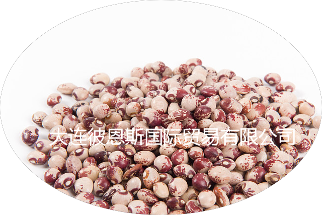 Light Speckled Kidney Beans