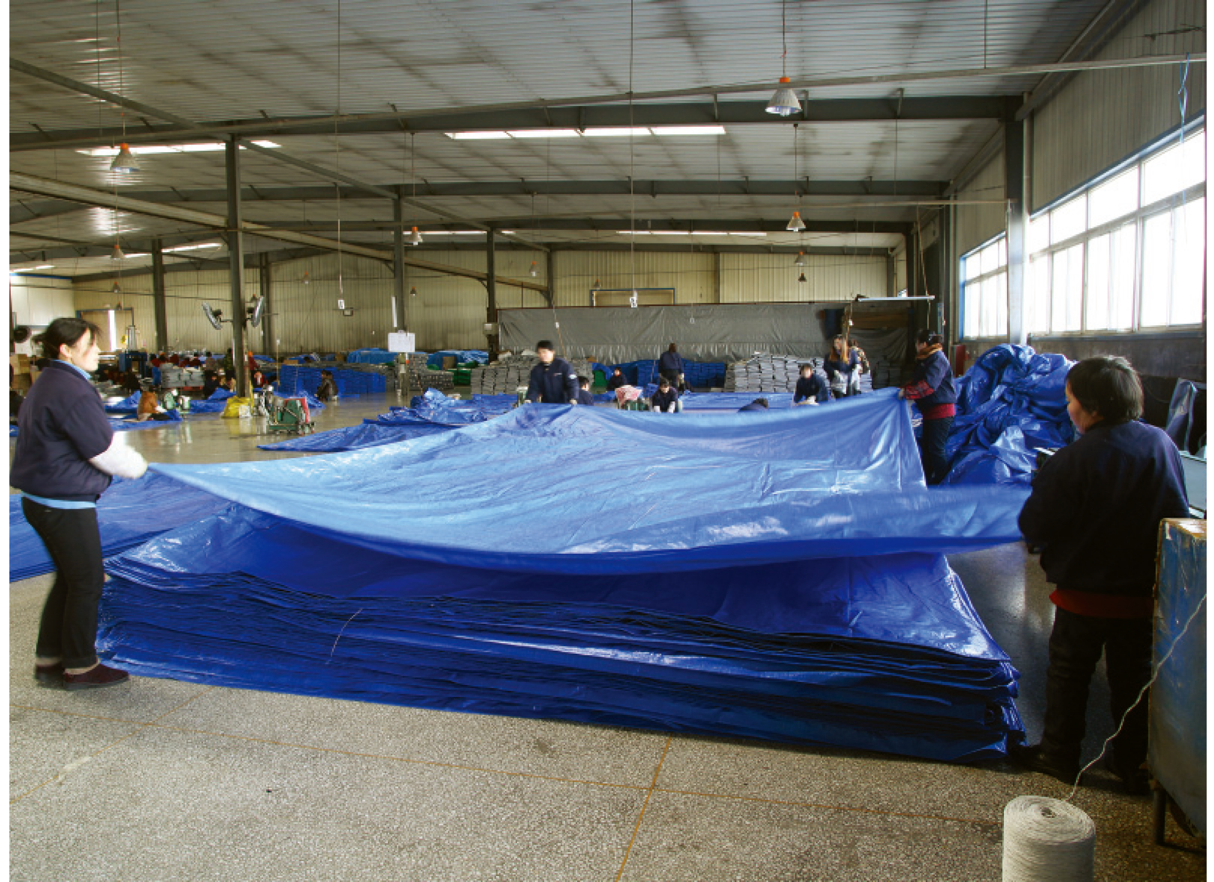 Pe Tarpaulin