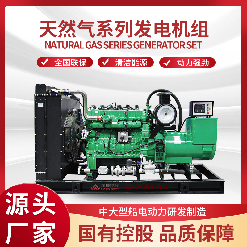 Shandong Kangwo Holding Co., Ltd. – Diesel engine 1