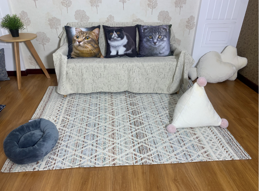 Chenille digital cushion, シェニールデジタルプリントクッション