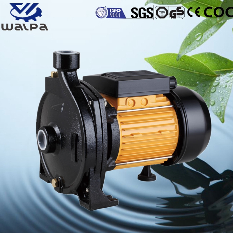 Centrifugal Pump