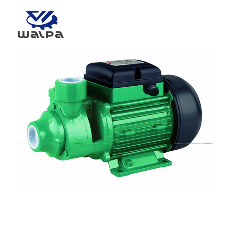 WALPA Peripheral Pump
