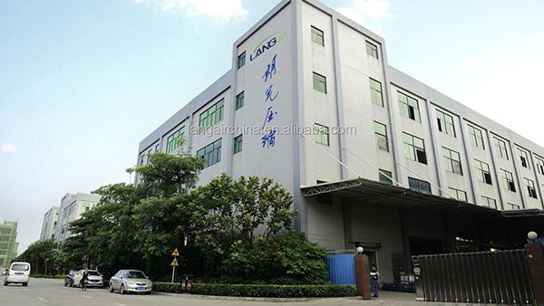 Hunan Lang Air Compression Machinery Co., Ltd. – motor eléctrico 1