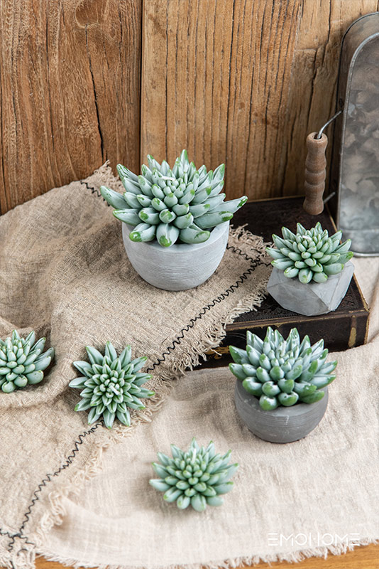 Succulent Candle