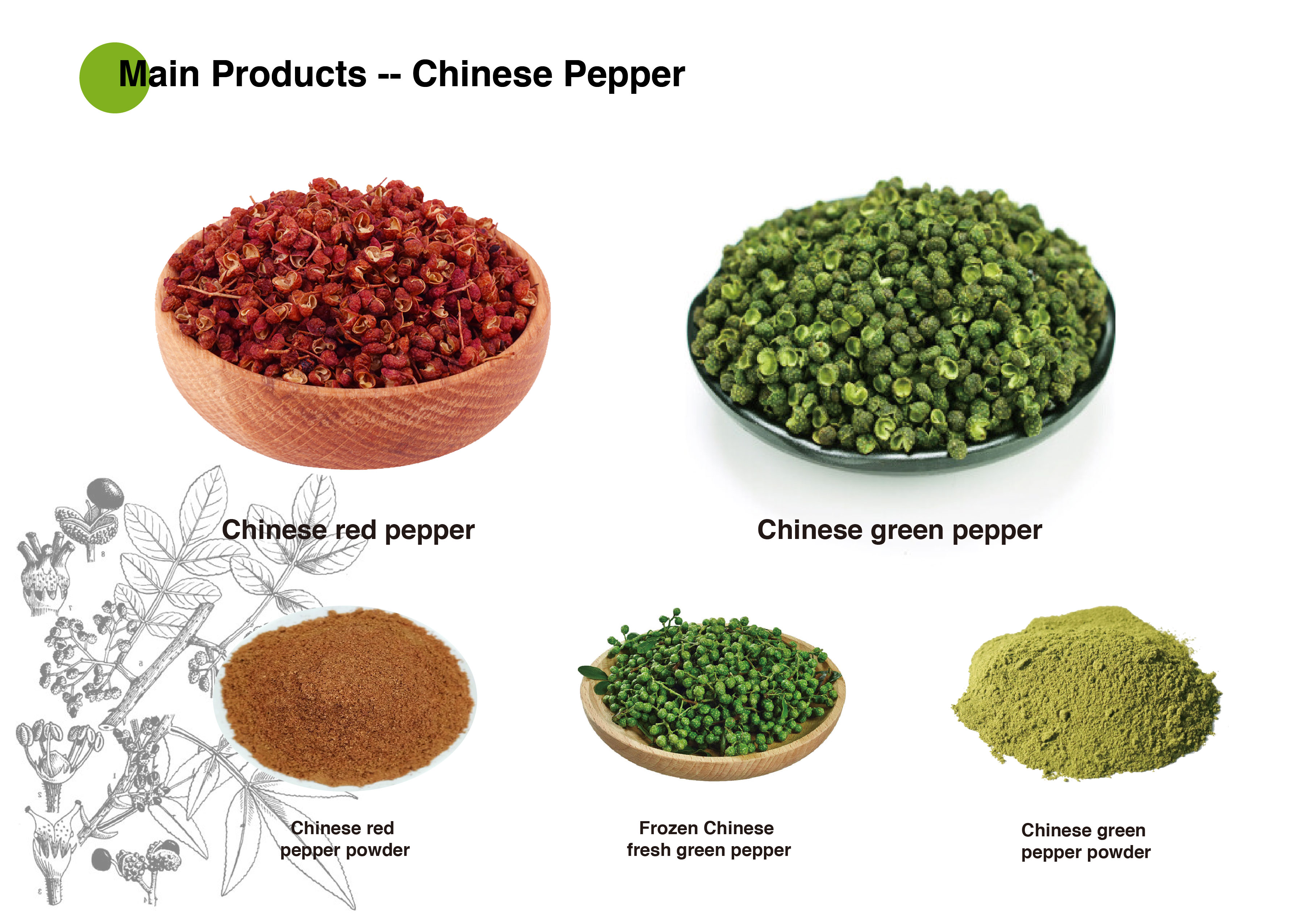Weifang Tianci Food Co., Ltd. – Other food seasonings 1