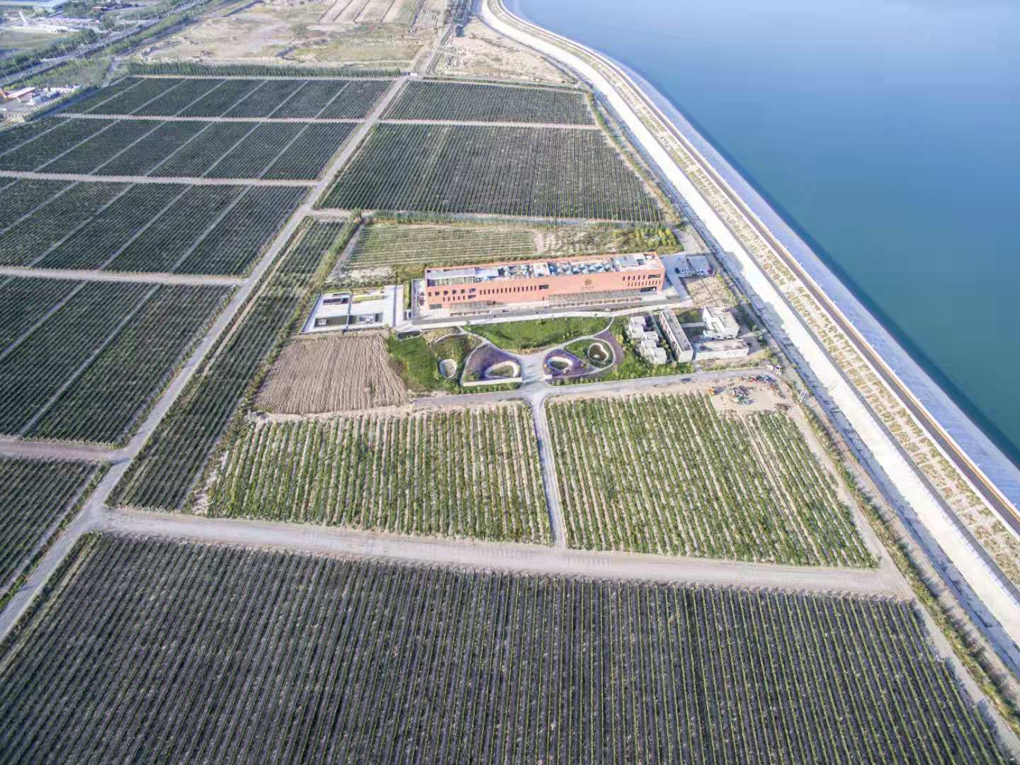 Ningxia Changhe Jade Wine Estate Co., Ltd. – Product photos 2