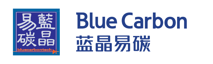 Shandong Blue Carbon Energy Storage Technology Co., Ltd.