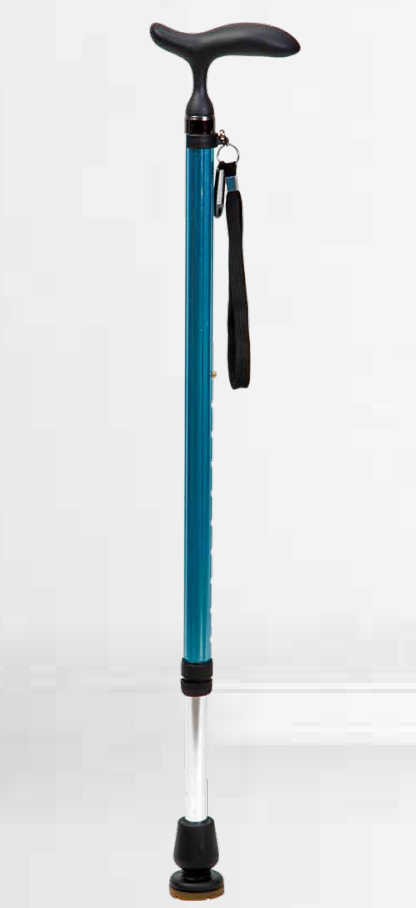 walking stick