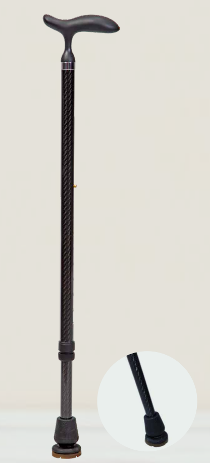 walking stick