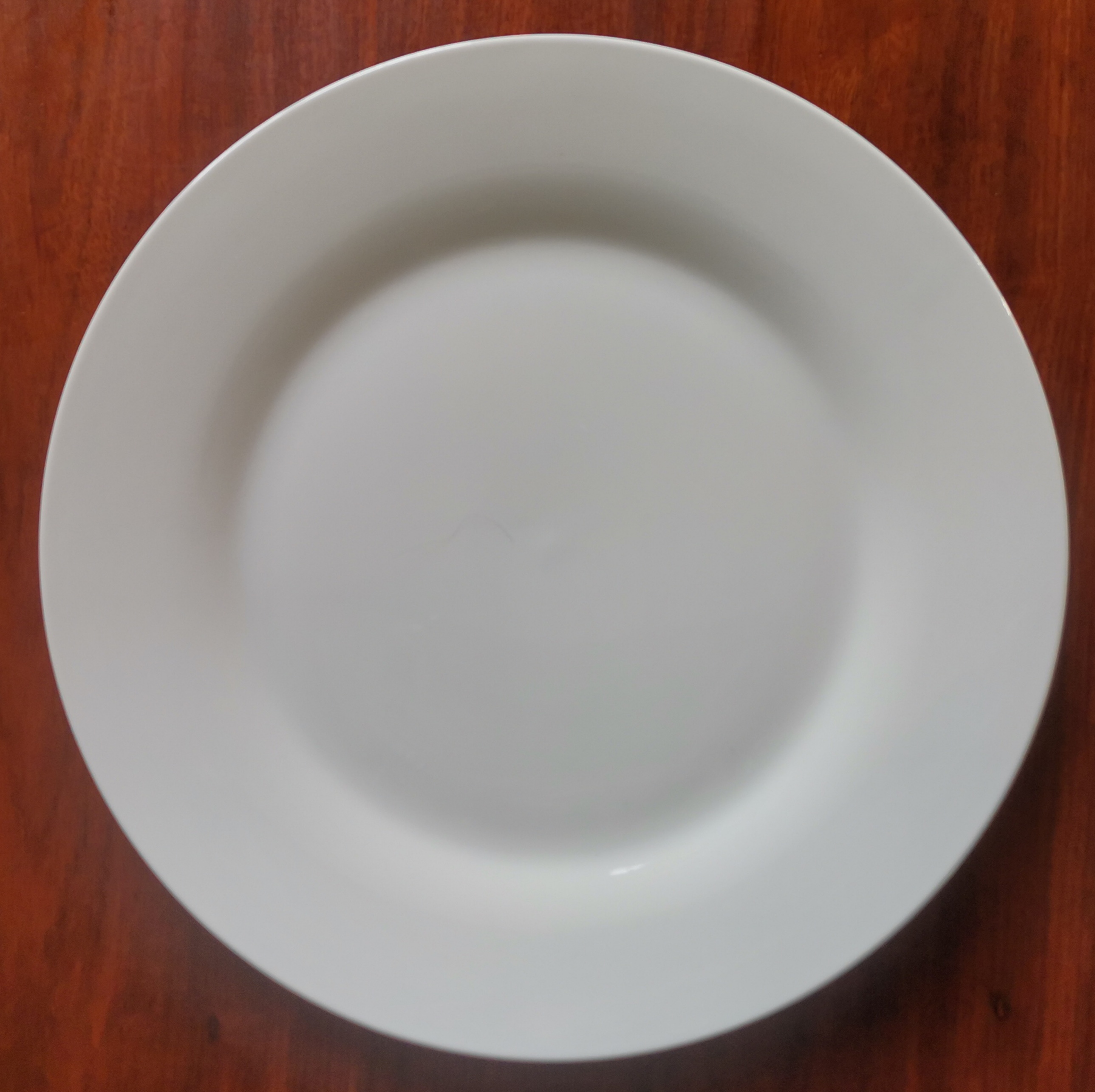 Dinner Plate