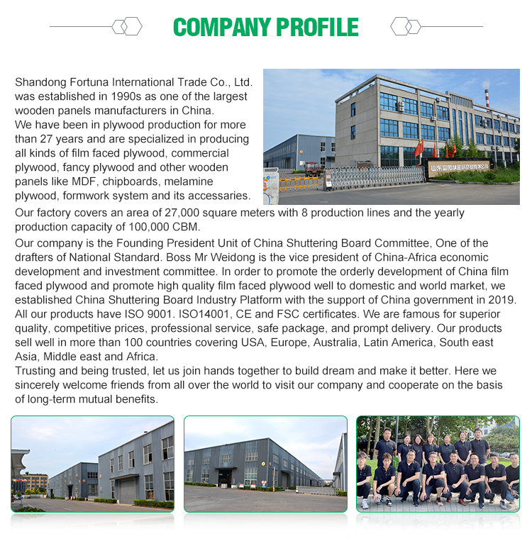 Shandong Fortune International Trading Co., Ltd. – building template 1