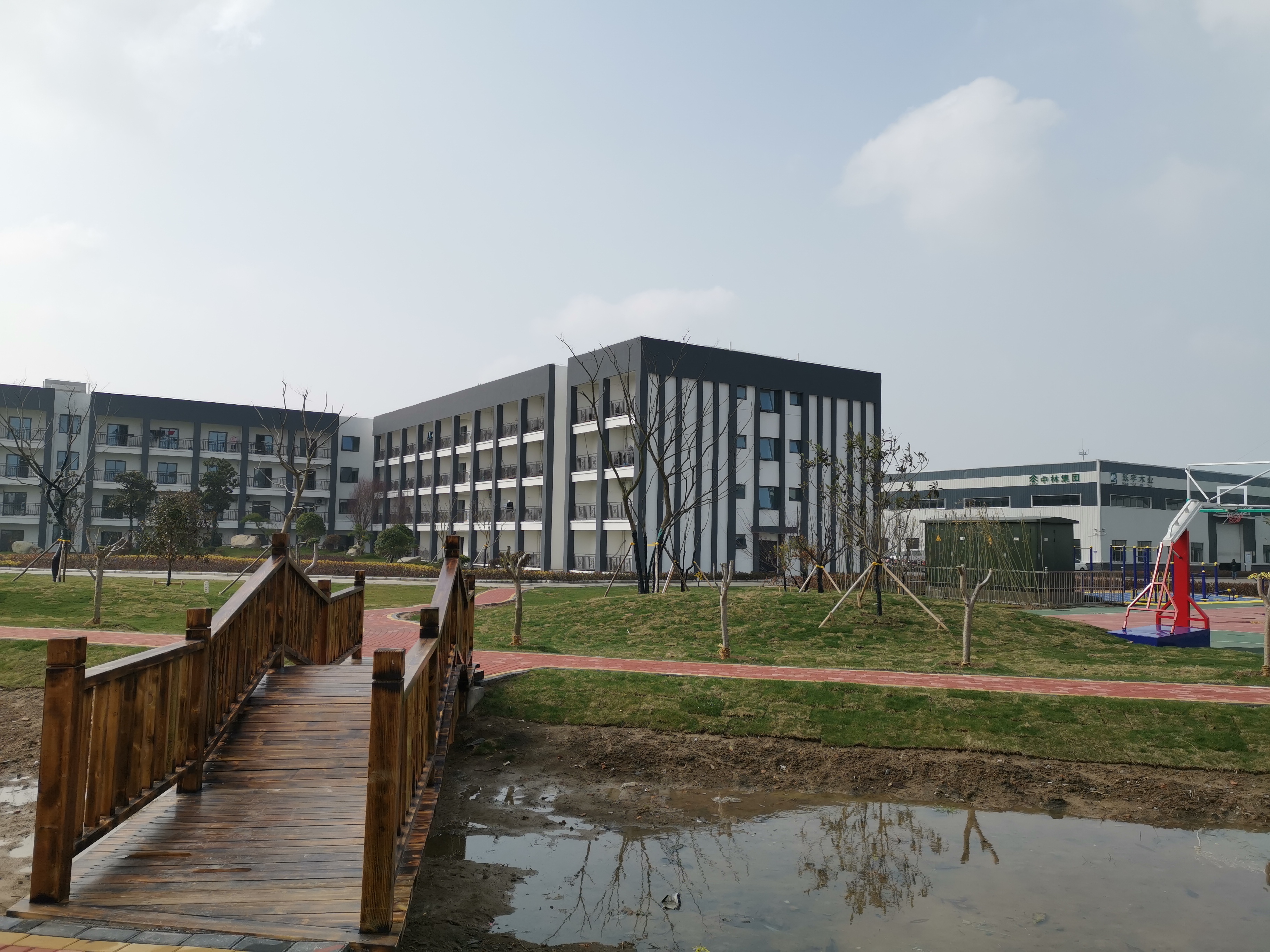 Zhonglin Group Jiangsu Jucheng Wood Industry Co., Ltd. – Product photos 3