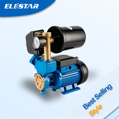 WZ Self-priming Peripheral Pump