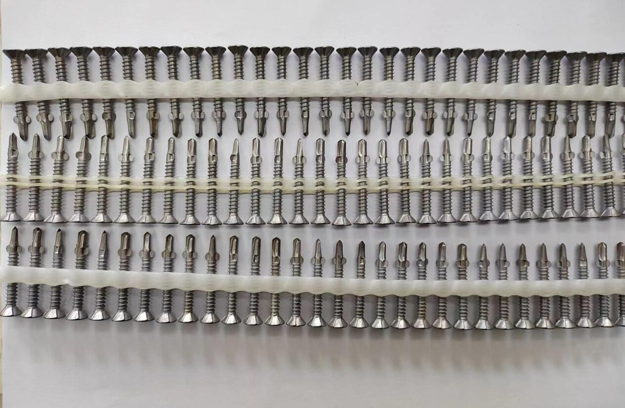 Tianyu Tek point Winged Wing Tip Collated Self Drilling Countersunk Wing Tek Screws