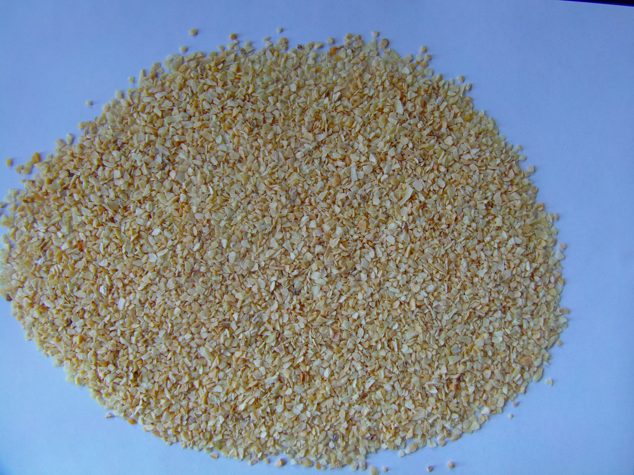 garlic falke