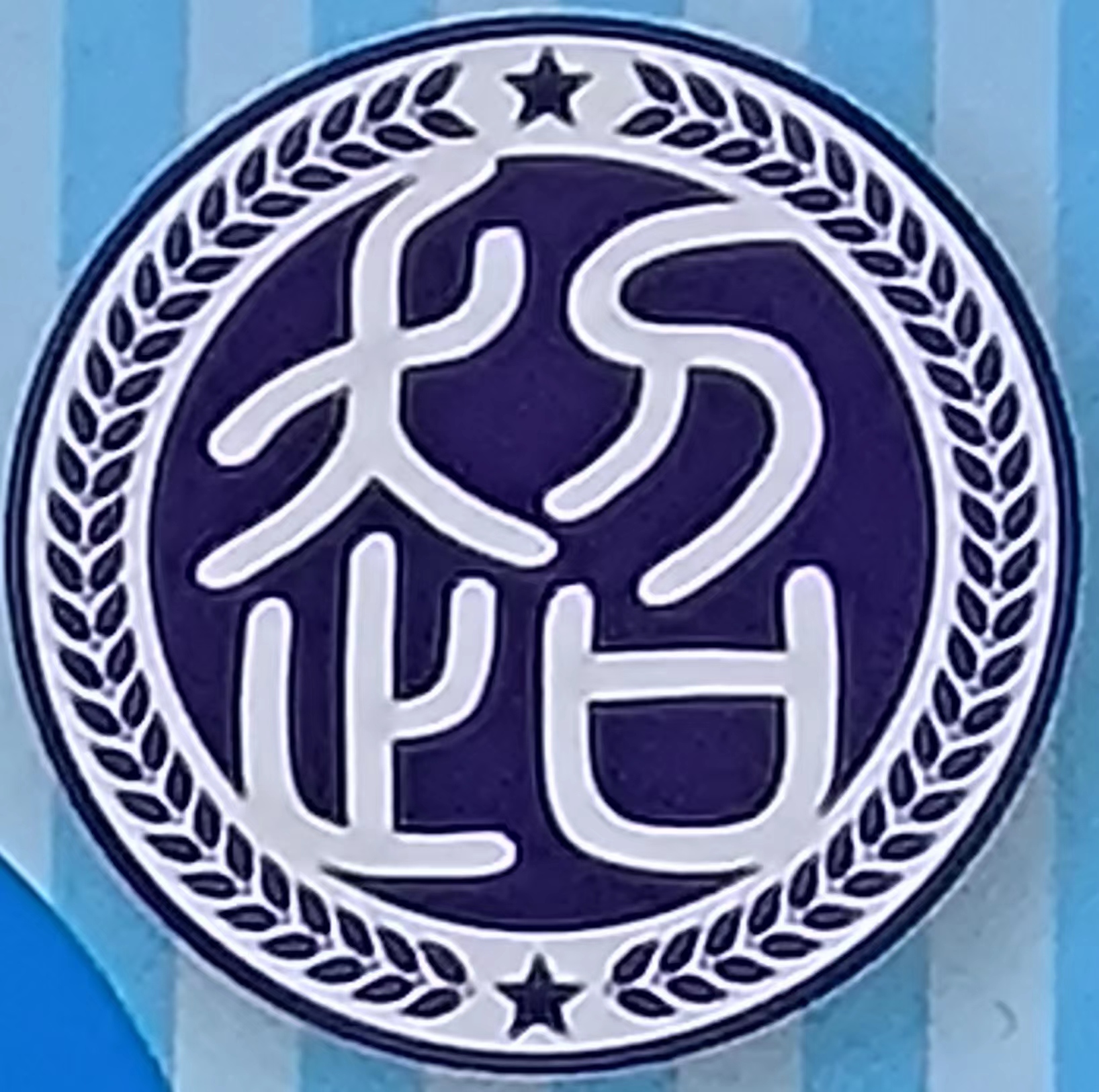Yiwu Chaonaí Daily Necessities Co., Ltd.