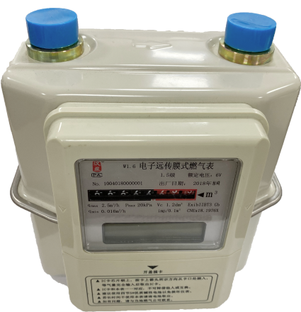 Electronic Remote Transmission Membrane Gas Meter