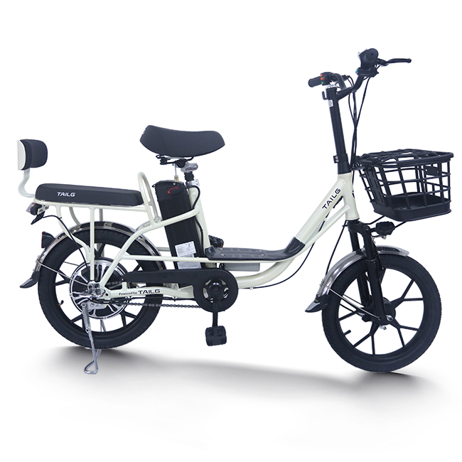 DONGGUAN TAILG TRADING CO., LTD – Electric scooter 1