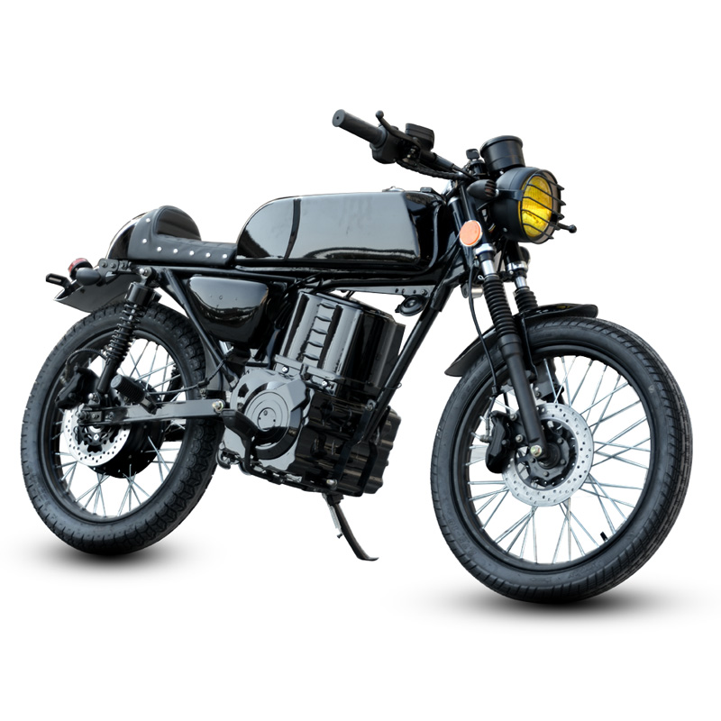 DONGMA TONMA electric motorcycles electric bike motorcycles