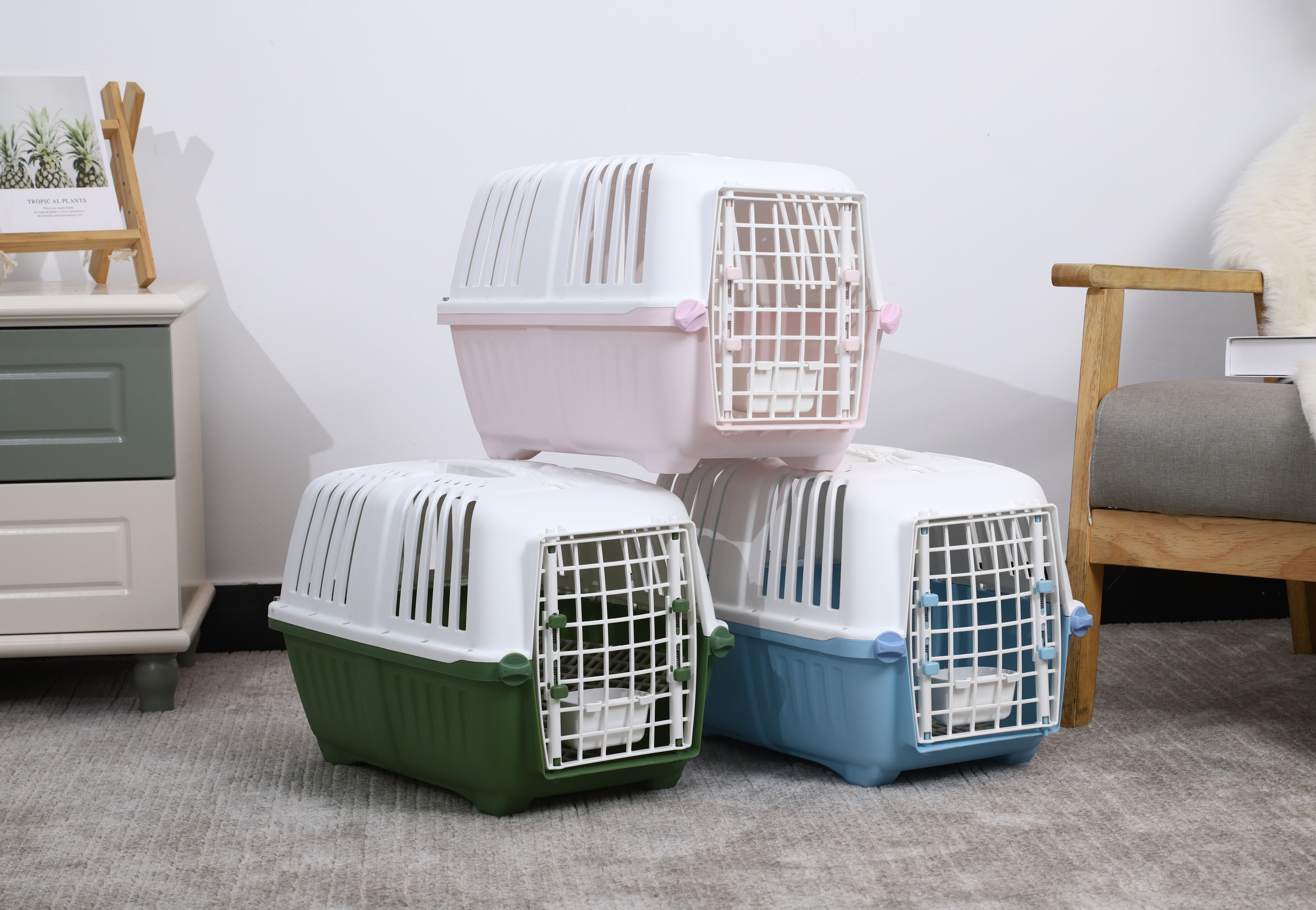 Pet Carrier