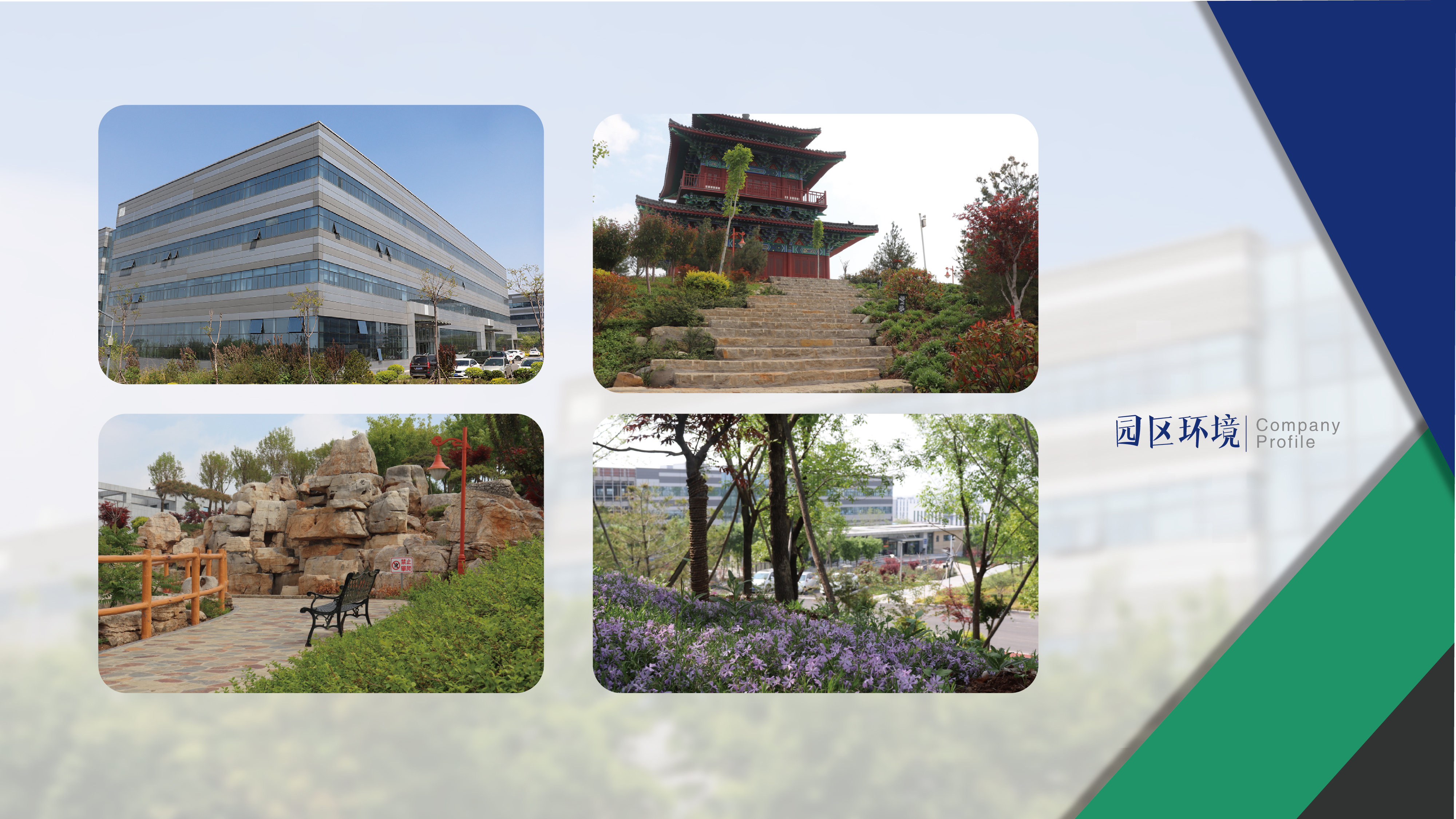 Shandong Fengao Medical Technology Co., Ltd. – medical rolls 2