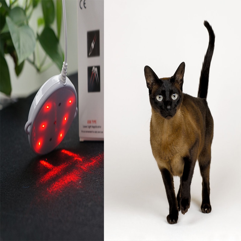 COZING-USBP1 Electric Medical Pain Relief Portable Physical Laser Therapy Device for Animal