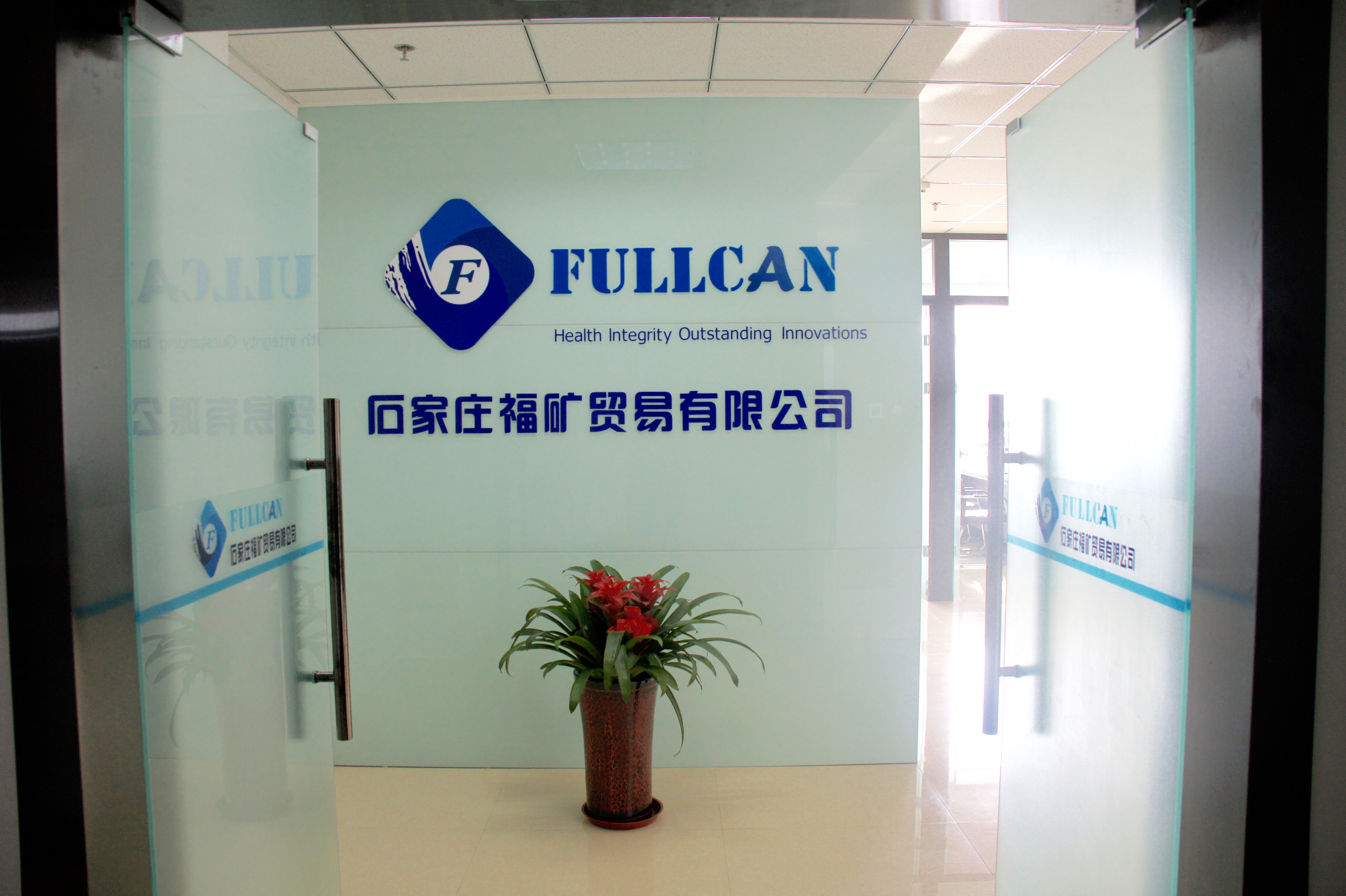 Shijiazhuang Fuyuan Mineral Trading Co., Ltd. – Photos produits 1
