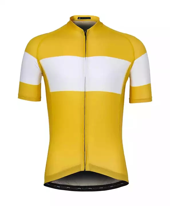 Low MOQ Dry Fit Custom Short Sleeve Mens Cycling Jersey with Best Price