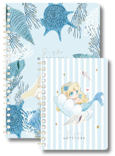Spiral notebook