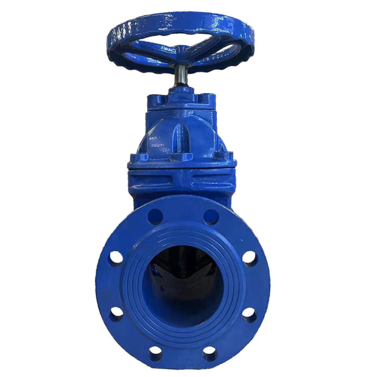 BS5163 Resilient Gate Valve