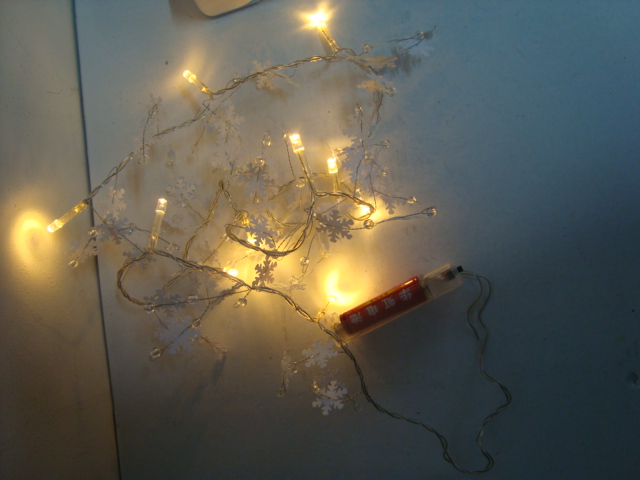 LED Decoration Light