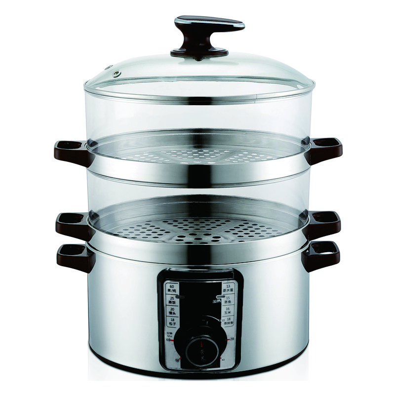 electric steamer
