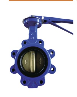 Lug type butterfly valve lever operate
